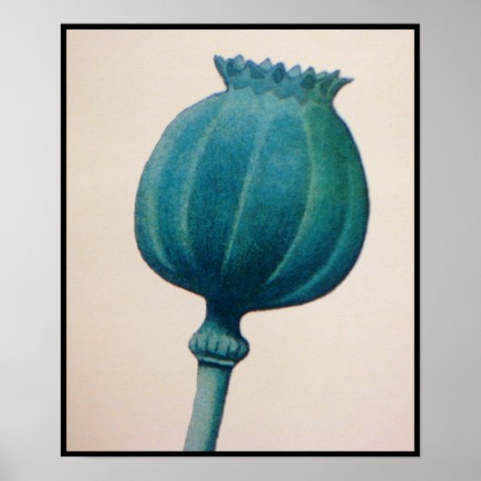 OPIUM POPPY POSTER (Voorkant)