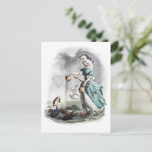 Opiumpapaver Briefkaart (Staand voorkant)