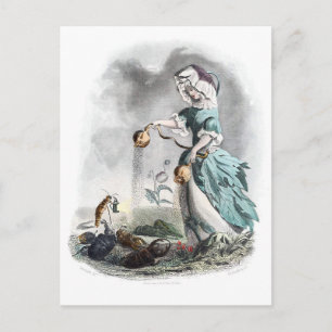 Opiumpapaver Briefkaart