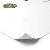 Opiumpapaver Poster (Hoek)