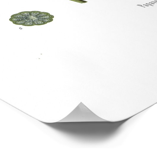 Opiumpapaver Poster (Hoek)