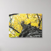 Opkijken naar gele herfstbladeren canvas afdruk (Voorkant)