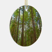 Opkijken naar Oud Groeibos Keramisch Ornament (Rechts)