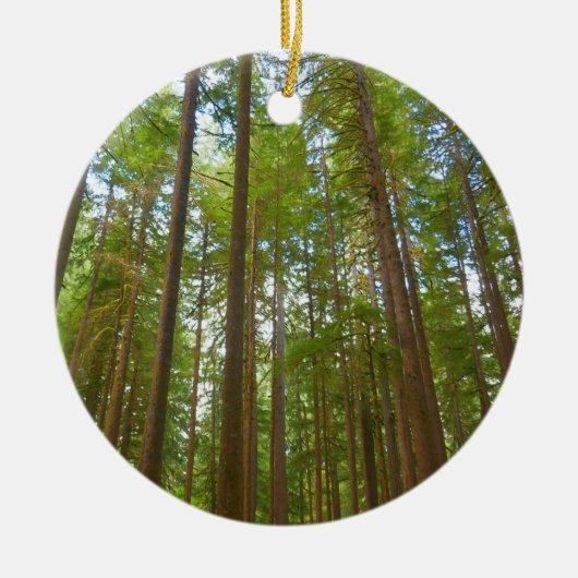 Opkijken naar Oud Groeibos Keramisch Ornament (Voorkant)