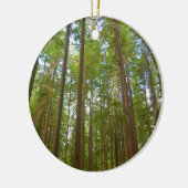 Opkijken naar Oud Groeibos Keramisch Ornament (Links)