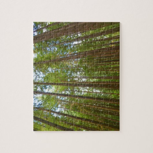 Opkijken naar Oud Groeibos Legpuzzel (Verticaal)