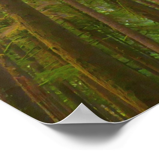 Opkijken naar Oud Groeibos Poster (Hoek)