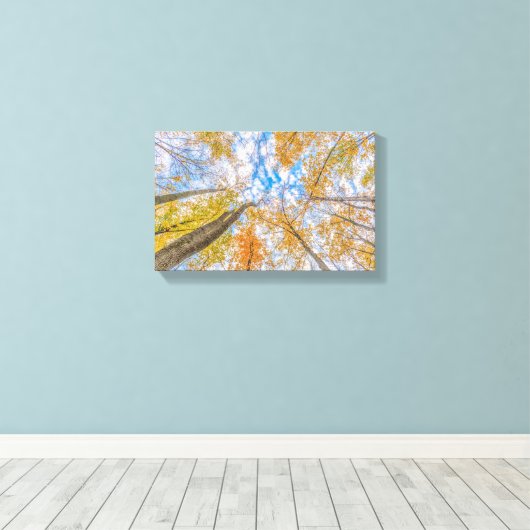 Opkijken vanaf de bosvloer Stretched Canvas (Insitu (Houten vloer))