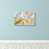 Opkijken vanaf de bosvloer Stretched Canvas Afdruk (Insitu (Houten vloer))