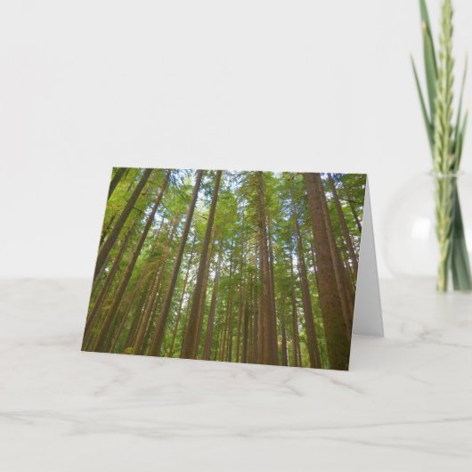 Opkijkend naar Oerbos Kaart (Voorkant)