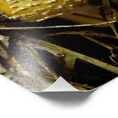 opkomende agriek foto afdruk (Hoek)