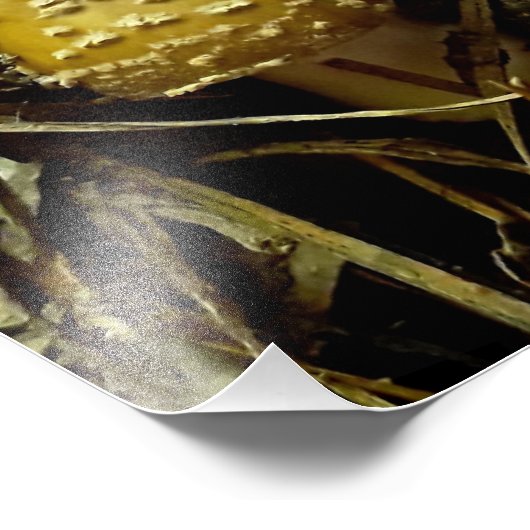 opkomende agriek foto afdruk (Hoek)