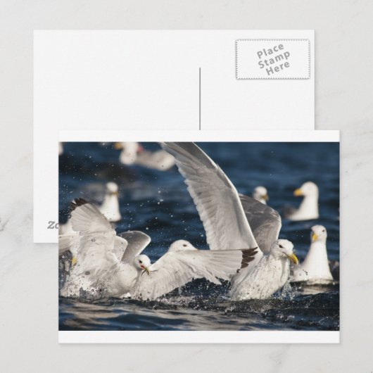 Opkomende Golven Briefkaart (Voorkant / Achterkant)