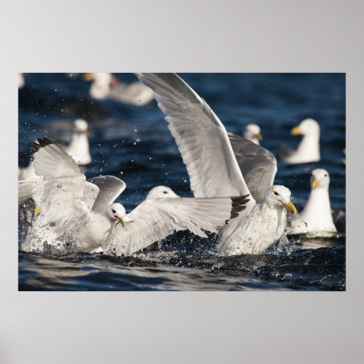 Opkomende Golven Poster (Voorkant)