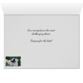 Opkomende knelpunten voor vlinders (Binenzijde Horizontaal (Onderkant))