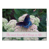 Opkomende knelpunten voor vlinders (Voorkant Horizontaal)