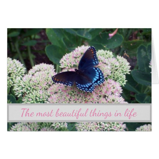 Opkomende knelpunten voor vlinders (Voorkant Horizontaal)