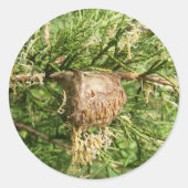 Opkomende Mantis ~ sticker (Voorkant)