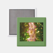Opkomende Roze Bloem Bloeit Magneet (Voorkant / Achterkant)