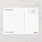 Opkomende slak briefkaart (Achterkant)