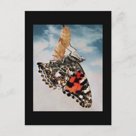 Opkomst Briefkaart (Voorkant)