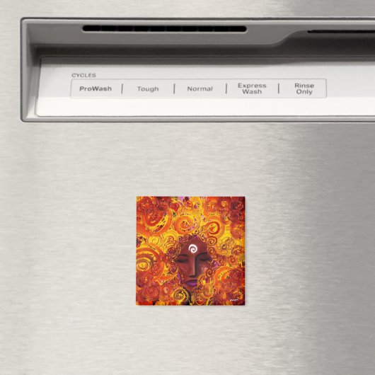 Opkomst van Spirit Magnet (Insitu (Vaatwasser))