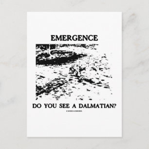 Opkomst: zie je een Dalmatiaan? Briefkaart
