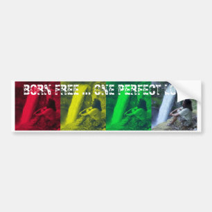 OPL Rasta Colors Bumpersticker