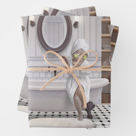 Oplaadmodus – Miss Meow in badjas Inpakpapier Vel (In situ)