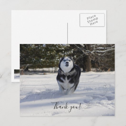 Opladen Tot Dank Postkaart (Voorkant / Achterkant)