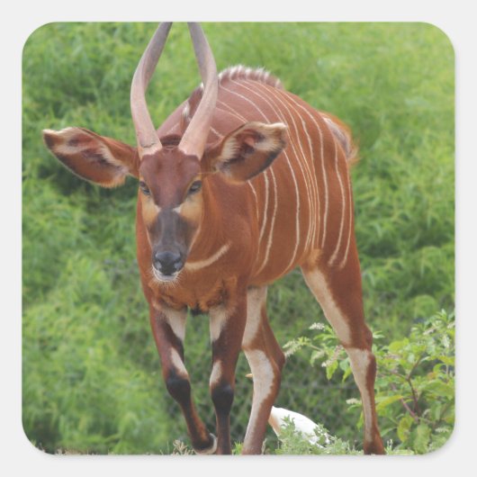 Opladen' Vierkante Sticker (Voorkant)