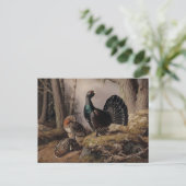 Opleiding door Ferdinand von Wright Briefkaart (Staand voorkant)