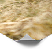 Opleiding fazant poster (Hoek)