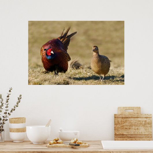 Opleiding fazant poster (Keuken)