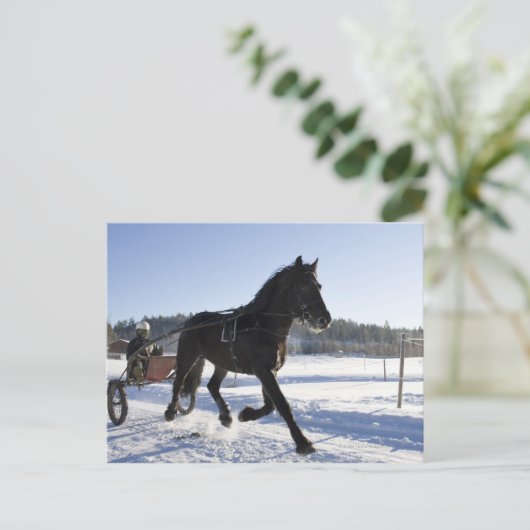 Opleiding van paarden in een wijnlandschap briefkaart (Staand voorkant)