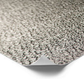 Opleiding voor hard werken maakt geen deel uit van poster (Hoek)