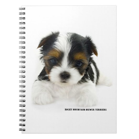 Opmerking: 80 pagina's — Biewer Terrier Puppy Notitieboek (Voorkant)