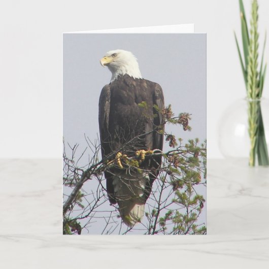 Opmerking Kaart (Voorkant)