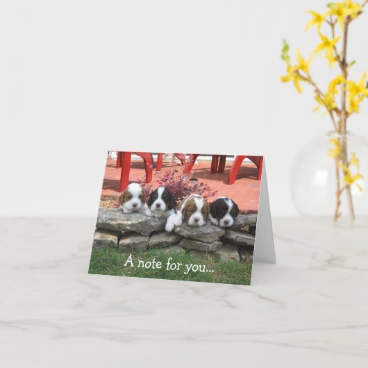 Opmerking Kaart (Gele Bloem)