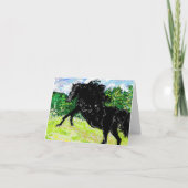 Opmerking: Kaart Black Stallion (Voorkant)