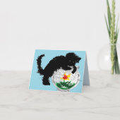 Opmerking: Kaart Cat- Gevist (Voorkant)