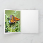 Opmerking Kaart - Common Blue Male Butterfly - Pol (Binnen)