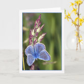 Opmerking Kaart - Common Blue Male Butterfly - Pol (Gele Bloem)