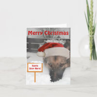 Opmerking: Kaart Duitse Shepherd Santa Stop hier S