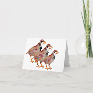 Opmerking Kaart: patrijs Notitiekaartje