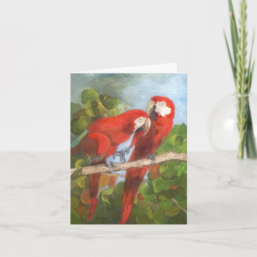 Opmerking Kaart - Tropische vogels (Voorkant)