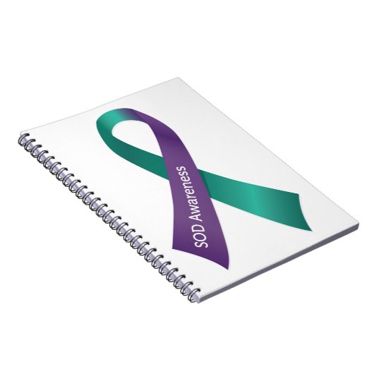 OPMERKING NOTITIEBOEK (Rechterzijde)