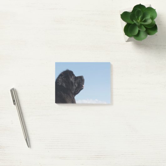 Opmerking over denkbeeldige Inka Postit Post-it® Notes (Kantoor)