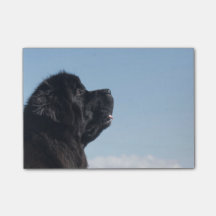 Opmerking over denkbeeldige Inka Postit