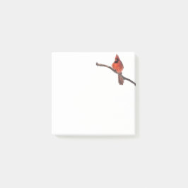 Opmerking plaatsen Kardinaal Post-it® Notes